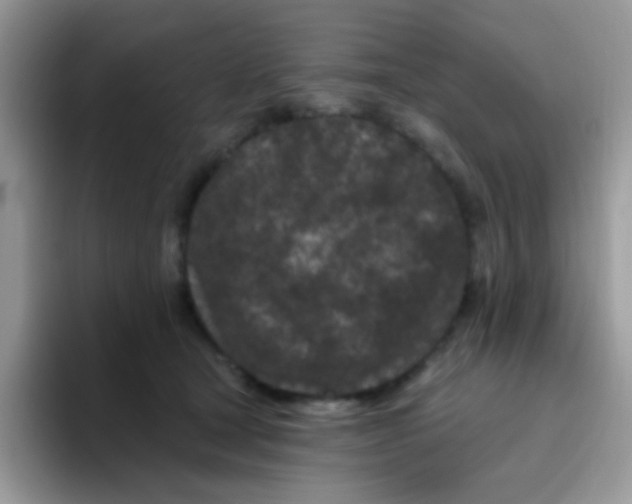 X0000095920465200802081117