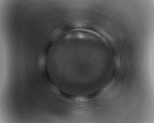 X0000095920475200802081117