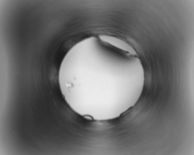 X0000095920477200802081117