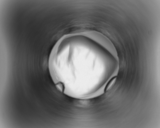 X0000095920478200802081117