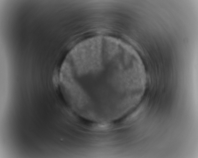 X0000095920479200802081117