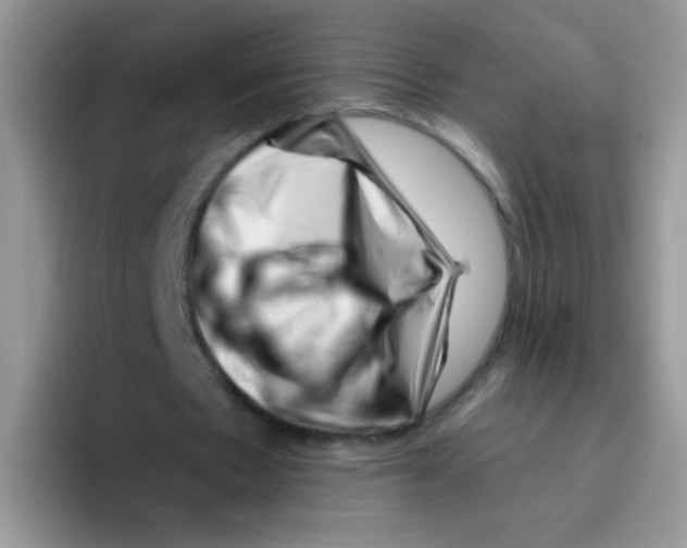 X0000095920481200802081116