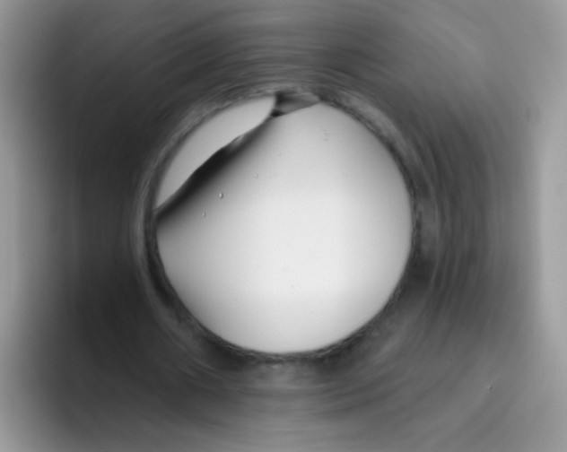 X0000095920482200802081116