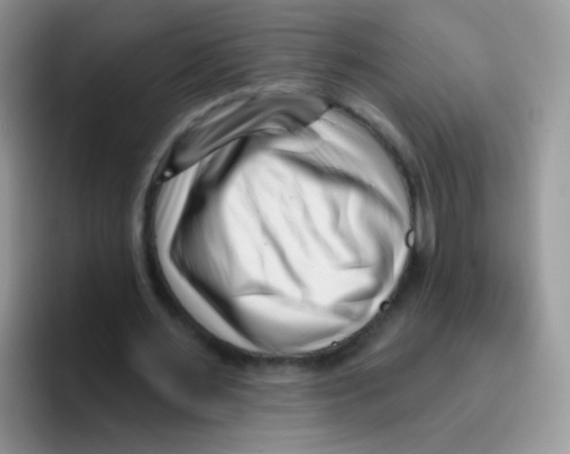 X0000095920483200802081116