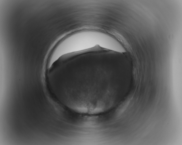 X0000095920484200802081116