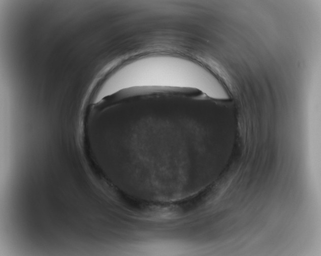 X0000095920488200802081116