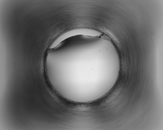 X0000095920489200802081116