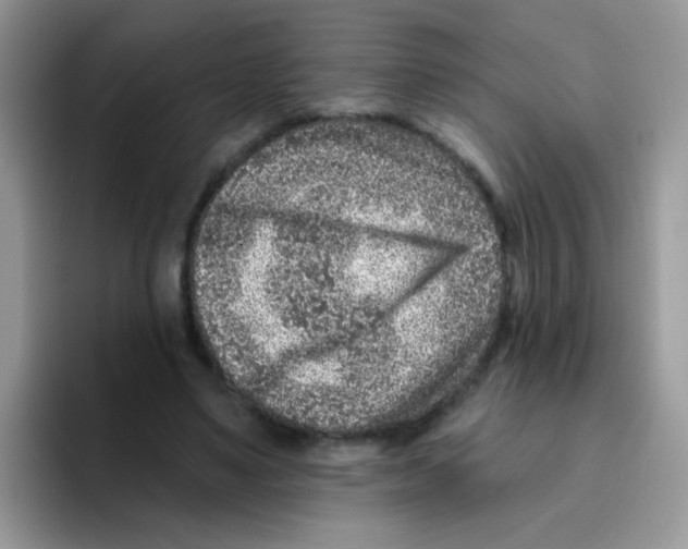 X0000095920491200802081116