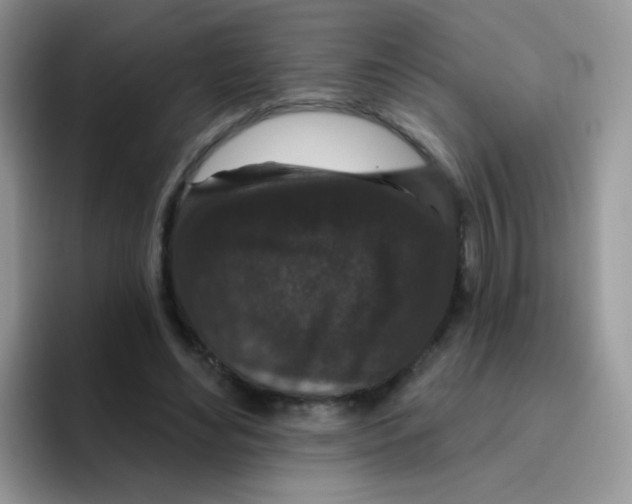 X0000095920492200802081116