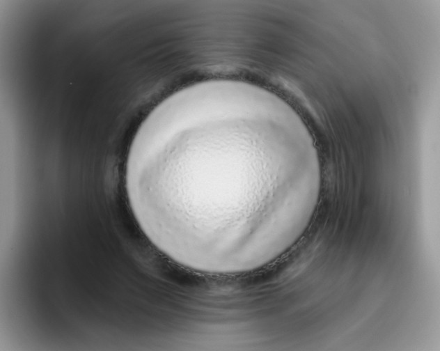 X0000095920495200802081116