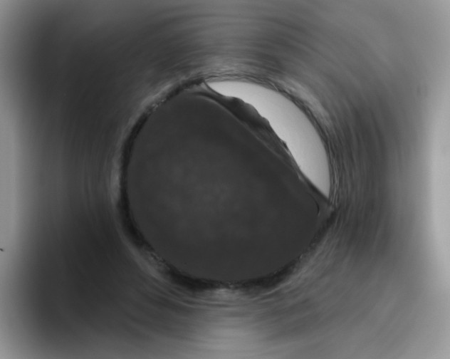 X0000095920496200802081116