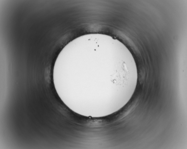 X0000095920497200802081116