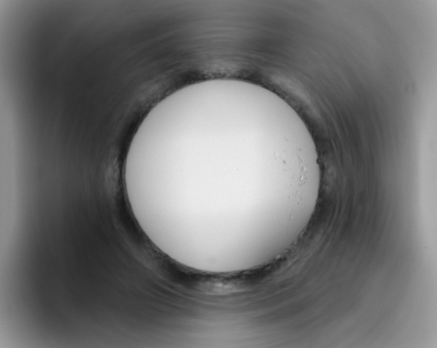 X0000095920498200802081116