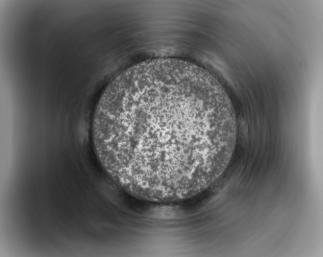 X0000095920499200802081116