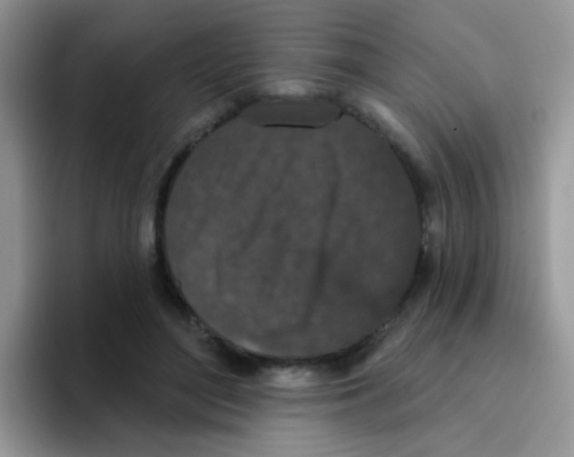 X0000095920500200802081116