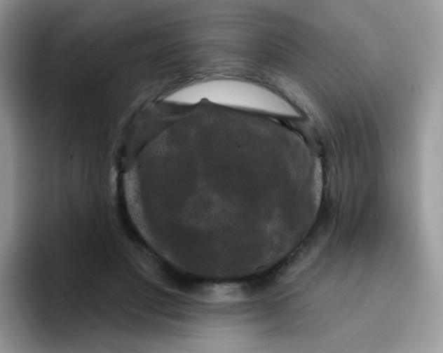 X0000095920501200802081116