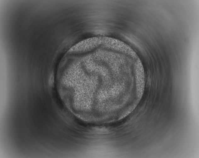 X0000095920502200802081116