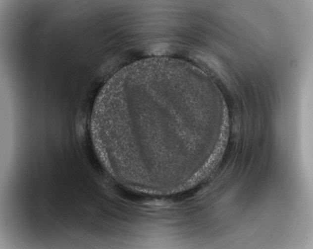 X0000095920503200802081116