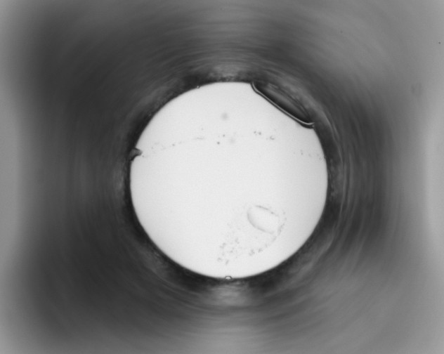 X0000095920505200802081116