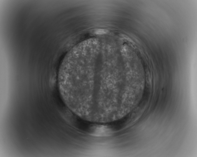 X0000095920507200802081116