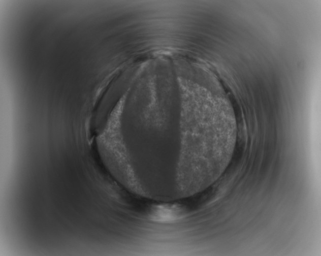 X0000095920508200802081116