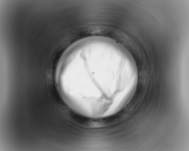 X0000095920510200802081116