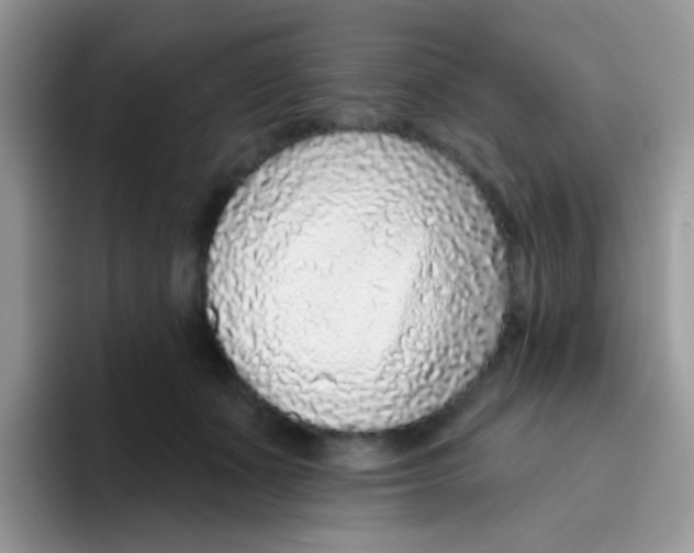 X0000095920511200802081116