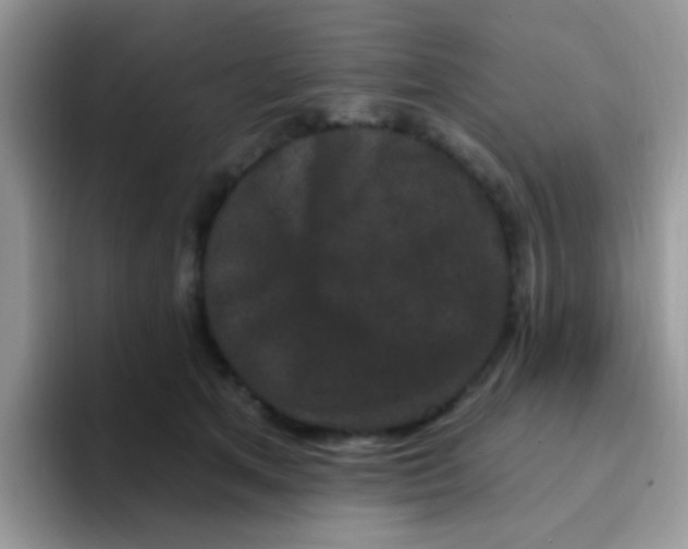 X0000095920513200802081116