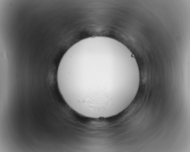 X0000095920515200802081116