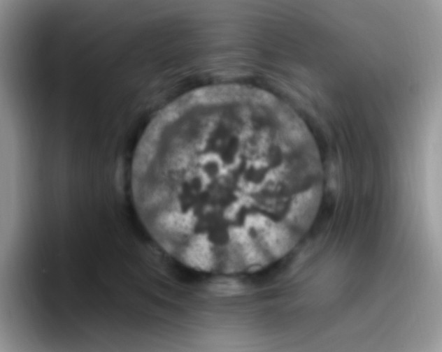 X0000095920519200802081116