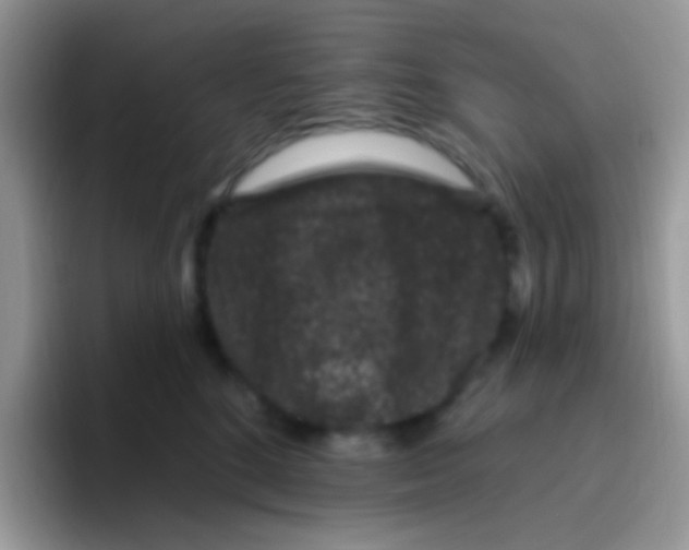 X0000095920520200802081116