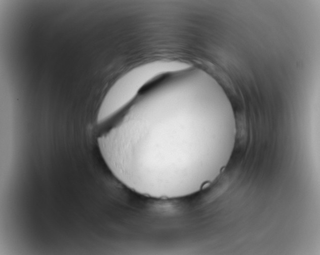 X0000095920523200802081116