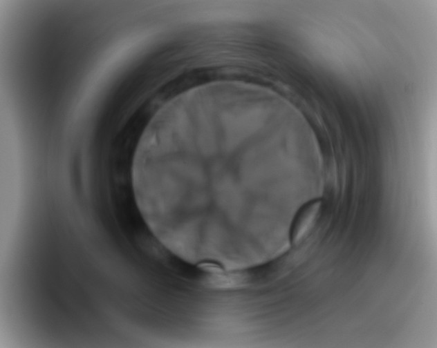 X0000095920526200802081116