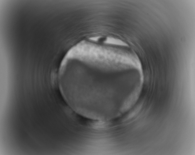 X0000095920527200802081116