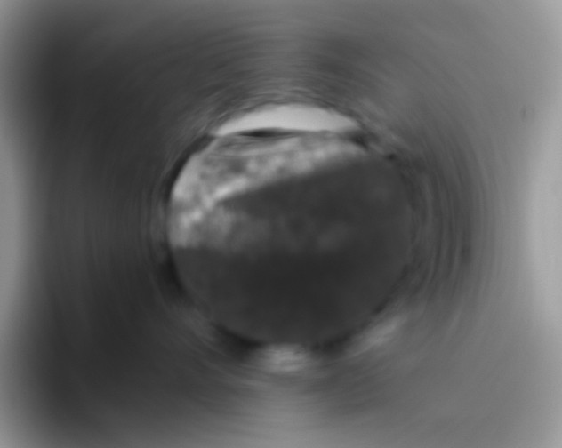 X0000095920528200802081116