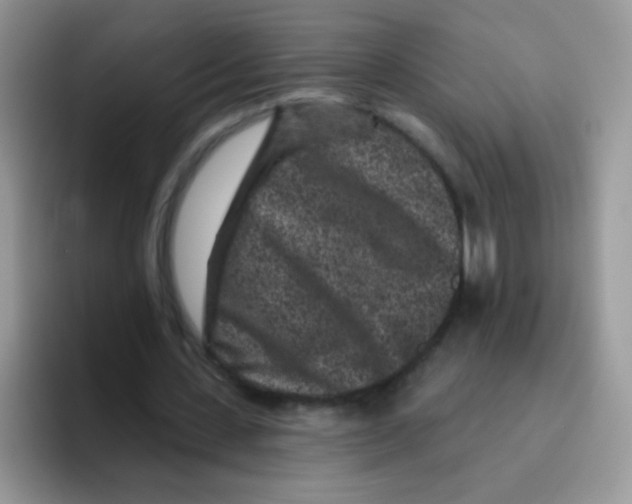 X0000095920531200802081115