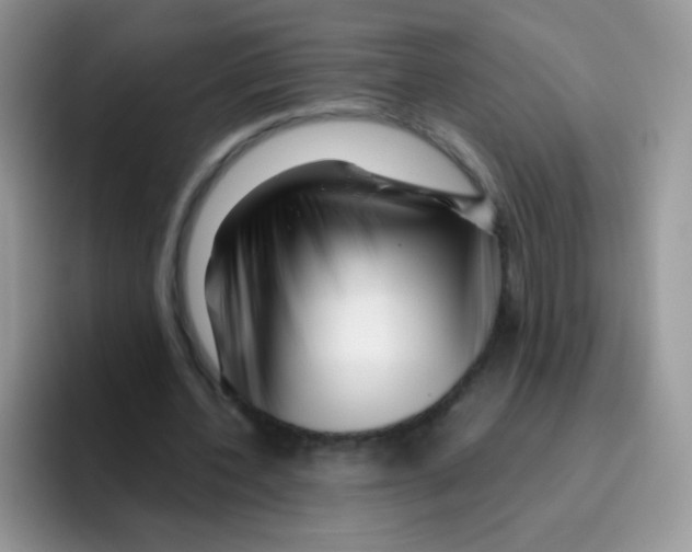 X0000095920532200802081115