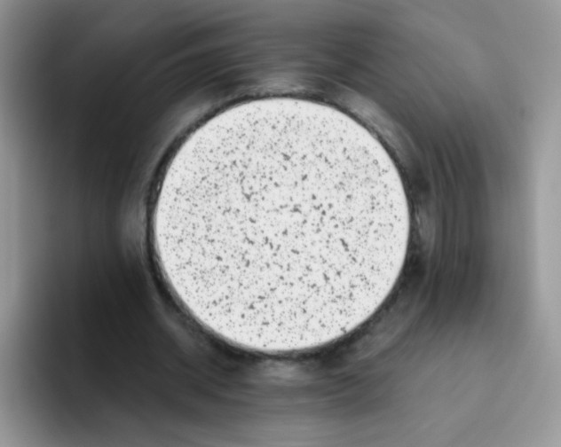 X0000095920534200802081115