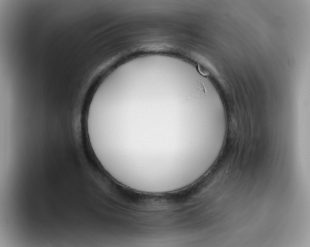 X0000095920535200802081115