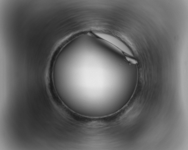 X0000095920536200802081115