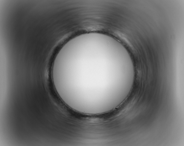 X0000095920539200802081115