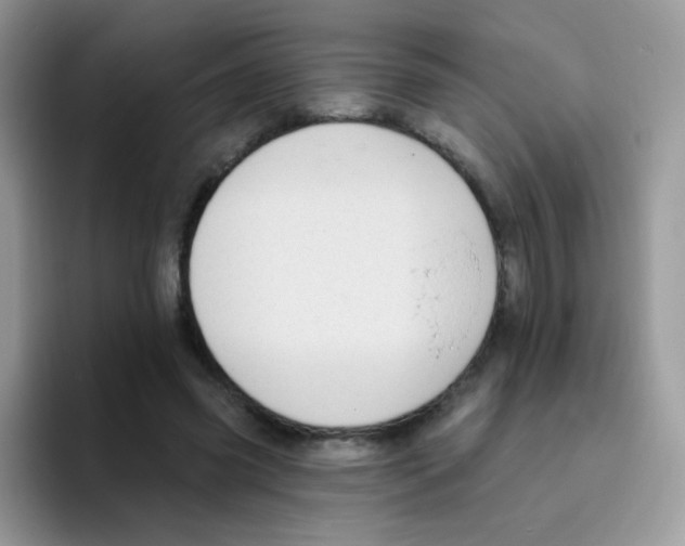 X0000095920541200802081115