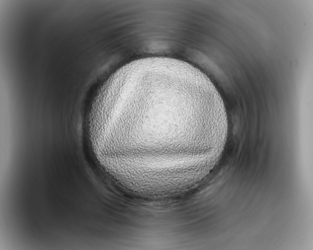 X0000095920542200802081115