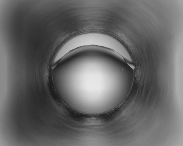 X0000095920544200802081115