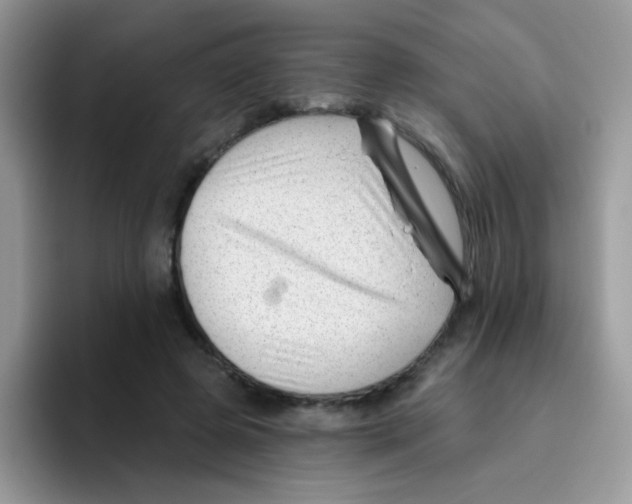 X0000095920545200802081115