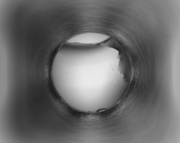 X0000095920546200802081115