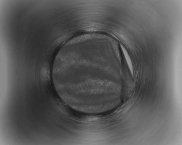 X0000095920547200802081115