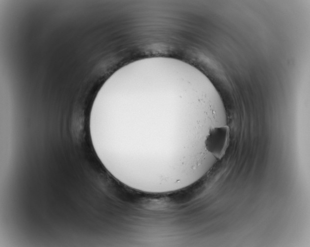 X0000095920548200802081115