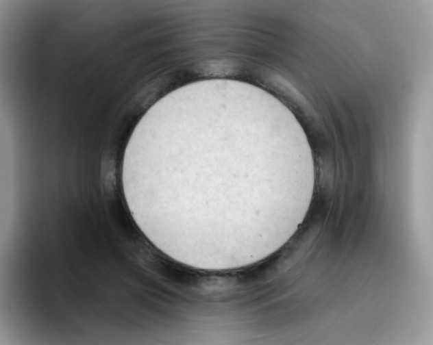 X0000095920549200802081115