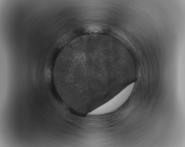 X0000095920551200802081115